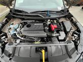 Thumbnail of 2025 Baja Storm Nissan Rogue