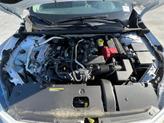 Thumbnail of 2025 White Nissan Sentra