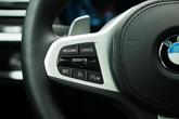 Thumbnail of 2025 Gray BMW X4