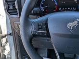 Thumbnail of 2023 Cactus Green / Gray Ford Bronco Sport