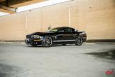 Thumbnail of 2007 Ebony Clearcoat Ford Shelby GT500
