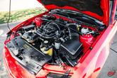 Thumbnail of 2007 Torch Red Clearcoat Ford Shelby GT500