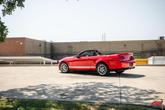 Thumbnail of 2007 Torch Red Clearcoat Ford Shelby GT500