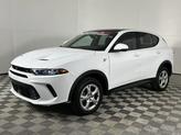 Thumbnail of 2023 Q Ball Dodge Hornet