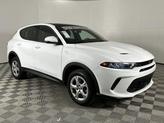 Thumbnail of 2023 Q Ball Dodge Hornet