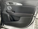 Thumbnail of 2023 Q Ball Dodge Hornet