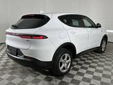 Thumbnail of 2023 Q Ball Dodge Hornet
