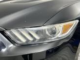 Thumbnail of 2017 SHADOW BLACK Ford Mustang