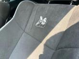 Thumbnail of 2020 Hellraisin Dodge Challenger