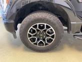 Thumbnail of 2023 Agate Black Metallic Ford F-150
