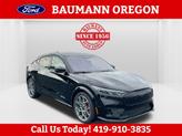 Photo of 2025 Shadow Black Ford Mustang Mach-E