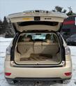Thumbnail of 2010 Golden Almond Metallic Lexus RX 350