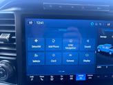 Thumbnail of 2024 Avalanche Gray Ford F-150