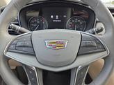 Thumbnail of 2024 Radiant Red Tintcoat Cadillac XT5