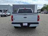Thumbnail of 2023 Avalanche Gray Ford F-150