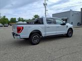 Thumbnail of 2023 Avalanche Gray Ford F-150