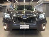 Thumbnail of 2019 Dark Gray Metallic Subaru Forester