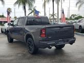 Thumbnail of 2025 Granite Crystal RAM 1500