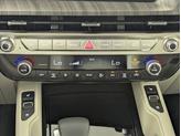 Thumbnail of 2025 Panthera Metal Kia Telluride