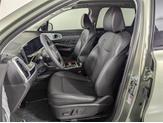 Thumbnail of 2025 Jungle Green Kia Sorento