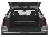 Thumbnail of 2021 Infrared Tintcoat Cadillac XT5