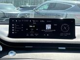 Thumbnail of 2025 Vik Black Genesis GV70