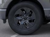 Thumbnail of 2025 Carbonized Gray Metallic Ford F-150 Lightning