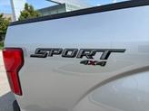 Thumbnail of 2019 Ingot Silver Ford F-150