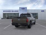 Thumbnail of 2025 Marsh Gray Ford F-150