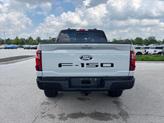 Thumbnail of 2024 Avalanche Gray Ford F-150