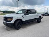 Thumbnail of 2024 Avalanche Gray Ford F-150