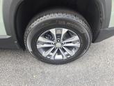 Thumbnail of 2026 Cacti Green Chevrolet Equinox