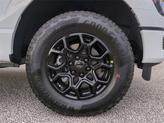 Thumbnail of 2025 Oxford White Ford F-150