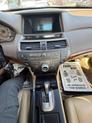 Thumbnail of 2009 Taffeta White Honda Accord