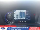 Thumbnail of 2024 Cactus Gray Ford Bronco