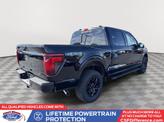 Thumbnail of 2025 Agate Black Metallic Ford F-150