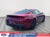 Thumbnail of 2025 Molten Magenta Metallic Tri-coat Ford Mustang