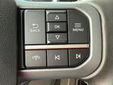 Thumbnail of 2024 Black Metallic Ford F-150 Lightning