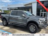 Photo of 2018 Magnetic Metallic Ford F-150
