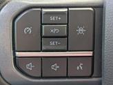 Thumbnail of 2023 Agate Black Metallic Ford F-150