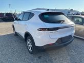 Thumbnail of 2024 Q Ball Dodge Hornet
