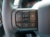 Thumbnail of 2025 Agate Black Metallic Ford F-150