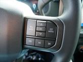 Thumbnail of 2025 Agate Black Metallic Ford F-150
