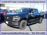Photo of 2025 Agate Black Metallic Ford F-150