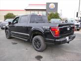 Thumbnail of 2025 Agate Black Metallic Ford F-150