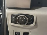 Thumbnail of 2019 Magnetic Metallic Ford F-150