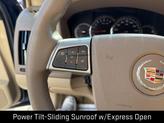 Thumbnail of 2008 Blue Chip Cadillac STS