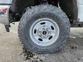 Thumbnail of 2025 Oxford White Ford F-250
