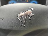 Thumbnail of 2025 Velocity Blue Ford Bronco Sport