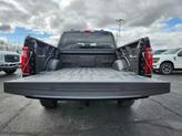 Thumbnail of 2025 Agate Black Metallic Ford F-150